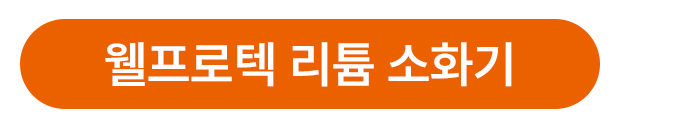 웰프로텍리튬소화기